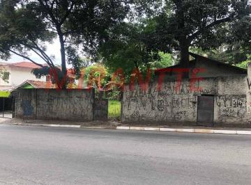 41e1bb22259b8965d2556c2f9e2dcf09.jpg · Terreno de 1500m²
