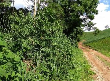 Rural , Almirante Tamandaré · Área para Chácara 10.846 m² com Luz
