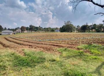 Terreno , Ibiúna · COD.5290 - IBIÚNA, TERRENO COMERCIAL DE FRENTE PARA RODOVIA BUNJIRO NAKAO! 