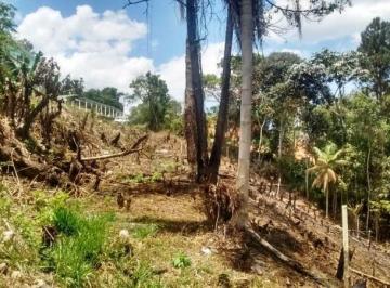 Foto 01 · Terreno em São Lourenço da Serra
