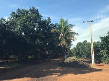 1556110251.jpg · Área para condomínio em Jardinópolis | Só aqui na Rosa e Rangel