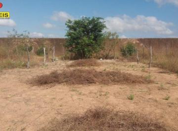 SPI_929_2019-10-26_10-55-53.jpg · Terreno - Área para venda Povoados de Marcação Pariconha