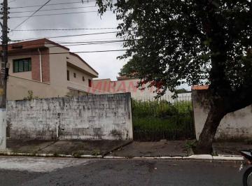 067b91caff9b536a7fddf066eeadea36.jpg · Terreno