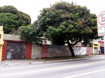 Foto 01 · Terreno, Jardim Elisa Maria, São Paulo, SP