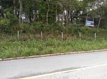 2019/12/107106597.jpg · TERRENO - CHÁCARA CALIFÓRNIA