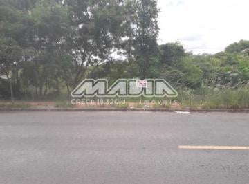 0 · terreno à venda em Roncáglia