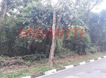 31e825fa55ec1abe5c8bc6fe3b7b293f.jpg · Terreno