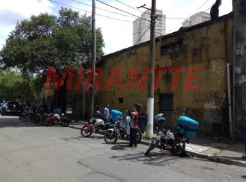 56dcbea895ce2324426815c2f99b837f.jpg · Galpao
