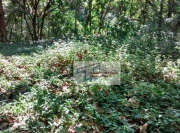 a44a9428771efaa376ef7f9759e1247fa11c6f6a · Terreno à venda, 6209 m² por R$ 1.250.000 - Jardim Nomura - Cotia/SP