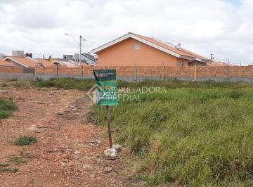 308682_i47w4WT_3086825e10979f18e1b.jpg · Terreno na Rua Grécia, Centro Novo - Eldorado do Sul/RS