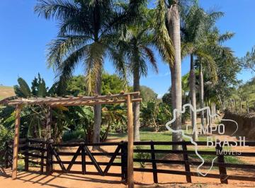Foto 52 · Negócio de ocasião! Fazenda de 105,5 aq com excelente preço!