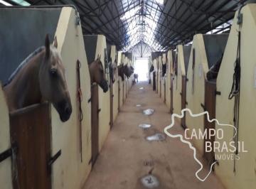 20 baias · Haras de alto padrão com casa sede e três alojamentos!