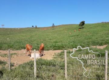 Foto 28 · Oportunidade Rural! Fazenda de 106 alqueires a poucos minutos do Centro de São José!