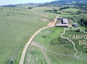 Foto 55 · FAZENDA PARA PECUARISTA EXIGENTE! 257 HECTARES COM LOCALIZAÇÃO EXCELENTE!