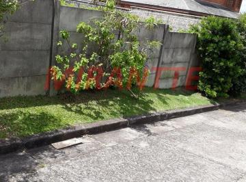 bd6ece1b9e3cbd715999852a4d160c68.jpg · Terreno