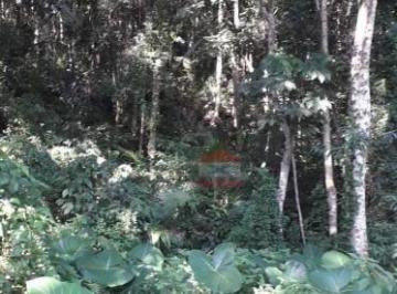 c6cb42b33fb5ecda0cdaee0cd1c6b25c75d677c1 · Terreno rodeado de Natureza