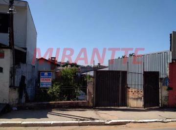f64668b80023cebb3f66b8383cd75b34.jpg · Terreno