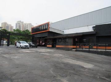 1788_iIgrMJx8q53Z5_17886761d3199d0a7.jpg · Terreno Comercial.