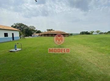 29706c4eaa11df4d078e0d7d9ba9693729ffcae2 · Fazenda com 6 dormitórios à venda, 435600 m² por R$ 4.500.000,00 - Artemis - Piracicaba/SP