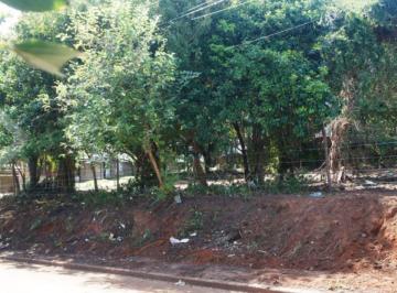 221246_iauxiliad221246_116662.jpg · Excelente terreno.