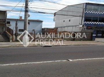 96891_iv0MH31_968915a565b5be56e9.jpg · Terreno no bairro Protásio Alves