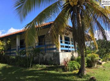 Foto 10 · FAZENDA EM POJUCA - BAHIA