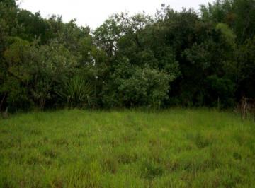 Terreno · 11000m² · Terreno à venda em Araçoiabinha - Araçoiaba da Serra/SP