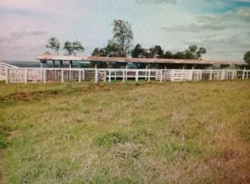 108929422.jpg · Fazenda, Rural, Echaporã - R$ 29.2 mi, Cod: 3986