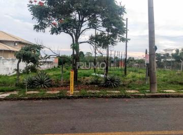 0 · terreno á venda e para aluguel em Parque Taquaral