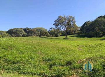 Terreno · 7000m² · Voturuna - Excelente terreno à Venda!