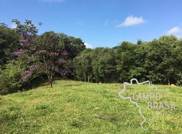 Foto 02 · Excelente área rural de 6 alqueires! Para construir seu sítio dos sonhos!