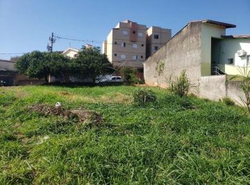 67120_i2382ZLO0_6712062c48b4daff39.jpg · TERRENO,0 Dormitorio(s) bairro Simus