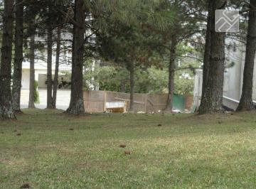 cc7250237f97f26da782ffb3c50dd1e08ee92a11 · Terreno à venda, 630 m² por R$ 1.000.000,00 - Aldeia da Serra - Barueri/SP