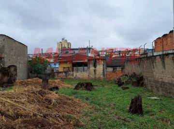 fd1e065f916d5d37a534b01457d7d34f.jpg · Terreno de 420m²