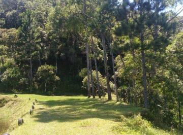 b4b2a6aaedd37d282b5dcd73cd9b3311ab904562 · Sítio com 1 dormitório à venda, 157300 m² por R$ 800.000,00 - Dos Claros - Tapiraí/SP