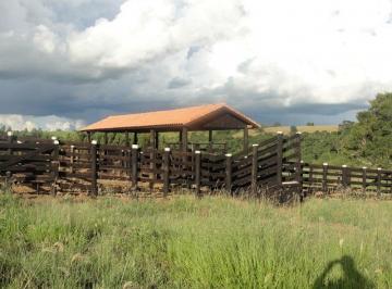 2020/05/115979226.jpg · RURAL - CENTRO