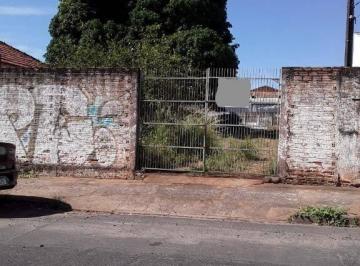 b3d461d7b94cebaa8ede73466140b6aa7442e365 · Terreno para alugar, 690 m² por R$ 1.670,00/mês - Jardim Congonhas - São José do Rio Preto/SP