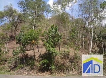 c609f3d0c4f458dbdd622b1993be30e9378845b3 · Terreno à venda, 48635 m² por R$ 300.000,00 - Campo Grande - Rio de Janeiro/RJ