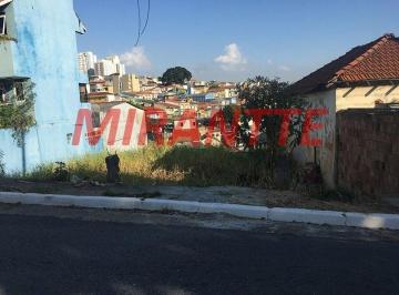8d67e0802bbb3528ebe0ac782ccd3f2b.jpg · Terreno
