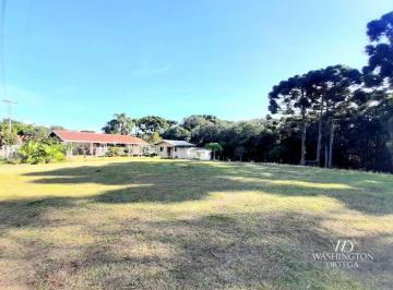 1961db782a01c58ef82ba66c8b4f60b73bb7cbe1 · Chácara à venda, 7301 m² por R$ 700.000,00 - Borda Do Campo - São José dos Pinhais/PR