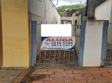 Foto 12 · Casa de fundo para locação ? Vila Ercília, São José do Rio Preto