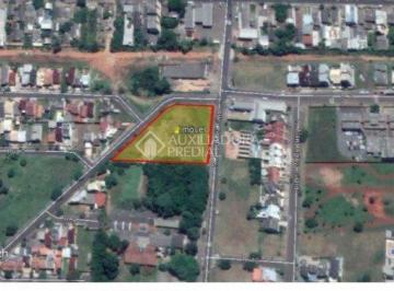 317724_i219EEv9X122X_3177245ef60c379de60.jpg · Terreno no bairro Harmonia