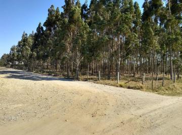 Comercial , Imbituba · Area 12.000m² no  Alto Arroio, Imbituba-SC