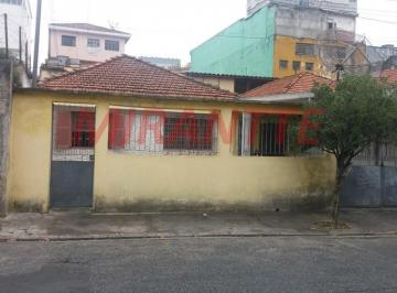 754837cb2a138bb5736db1cddc846085.jpg · Terreno