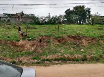 Foto 01 · Terreno, Jardim Alegria, Francisco Morato, SP
