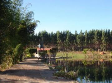 Foto 03 · Fazenda, Centro, Buritizeiro, MG