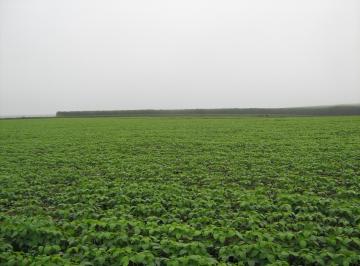 Rural de 2 quartos, Bonito de Minas · Excelente Propriedade- com 1.032,00 ha- Localizada em Bonito Minas/MG!