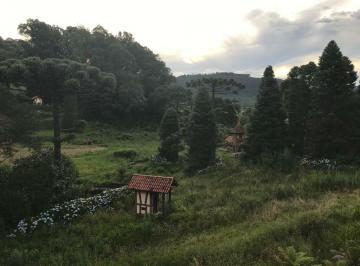 878730.jpg · Sítio - Bairro Carazal