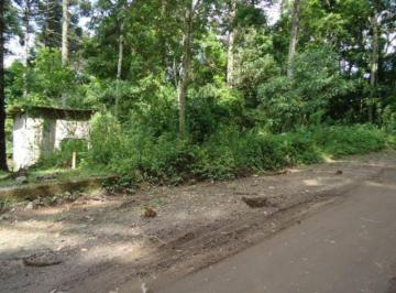 2020/07/121260567.jpg · TERRENO - RIO NEGRO