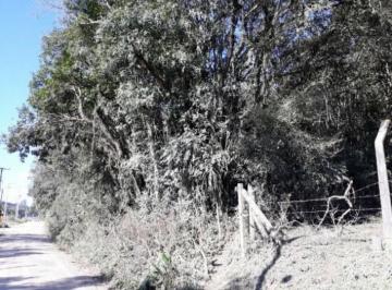 111471830.jpg · Chácara a Venda sem benfeitorias
